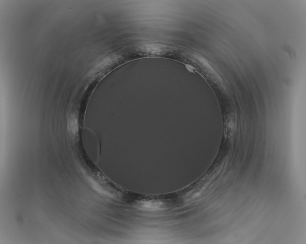 X0000111590500200907161456