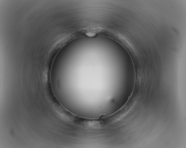 X0000111590501200907161456