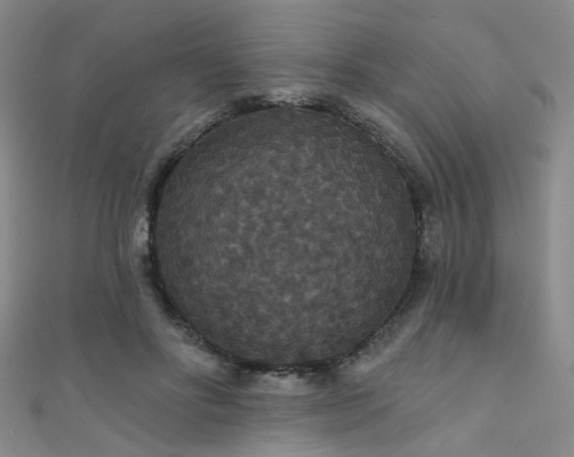 X0000111590502200907161456