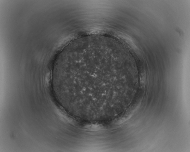 X0000111590503200907161456