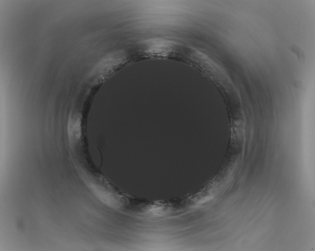 X0000111590504200907161456