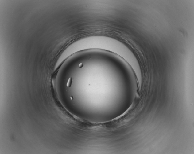 X0000111590505200907161456