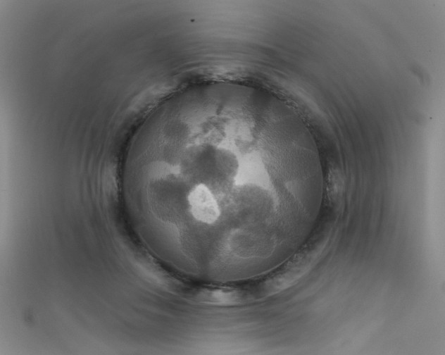 X0000111590506200907161456