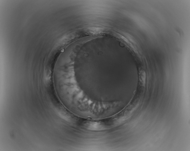 X0000111590507200907161456