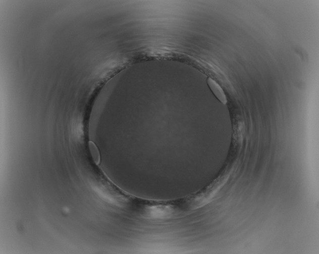 X0000111590508200907161456