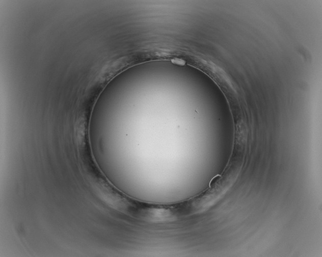 X0000111590509200907161456