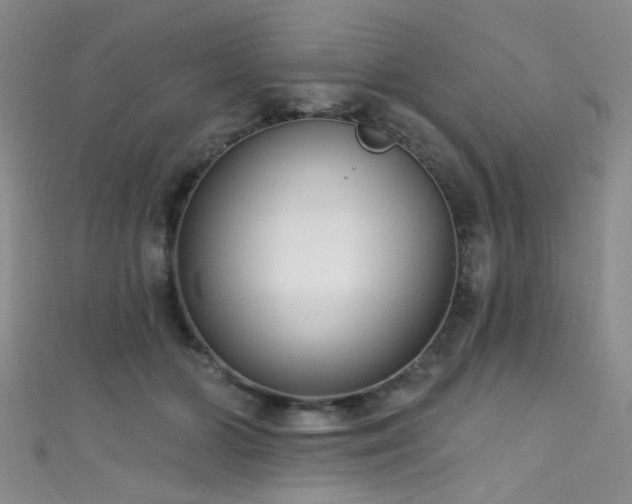 X0000111590510200907161456