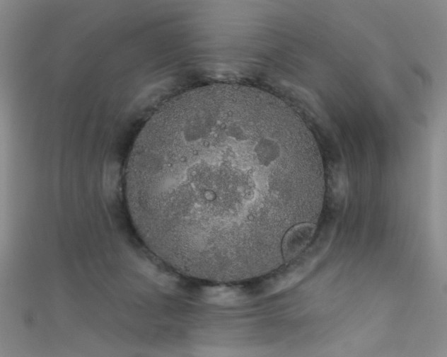 X0000111590511200907161456