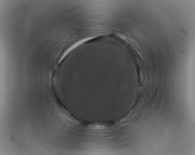 X0000111590512200907161456