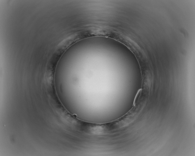 X0000111590513200907161456