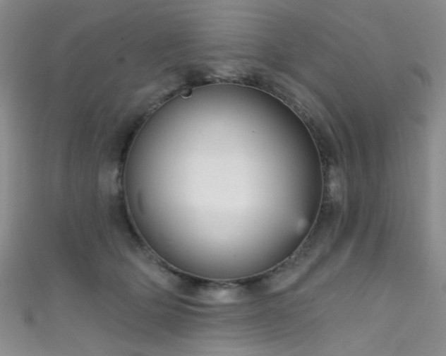 X0000111590514200907161456