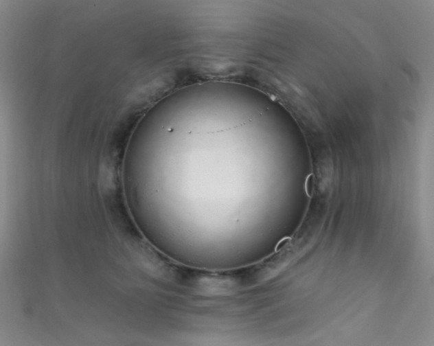 X0000111590515200907161456