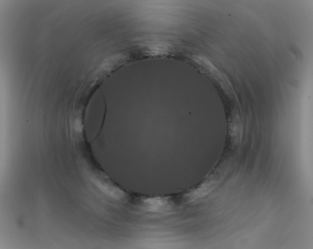 X0000111590516200907161456