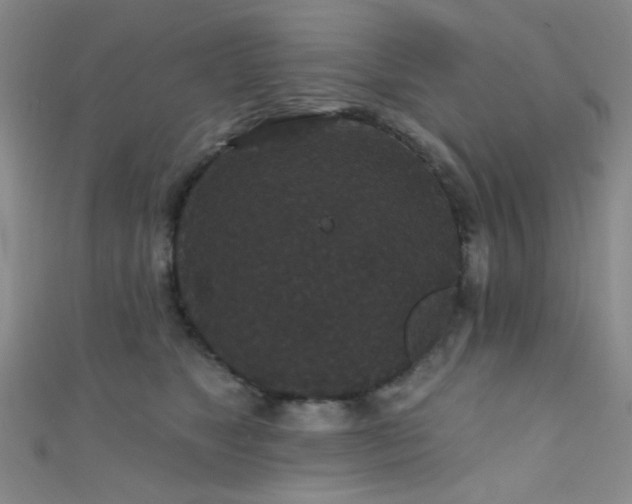 X0000111590517200907161456