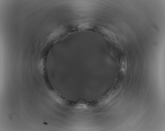 X0000111590519200907161456