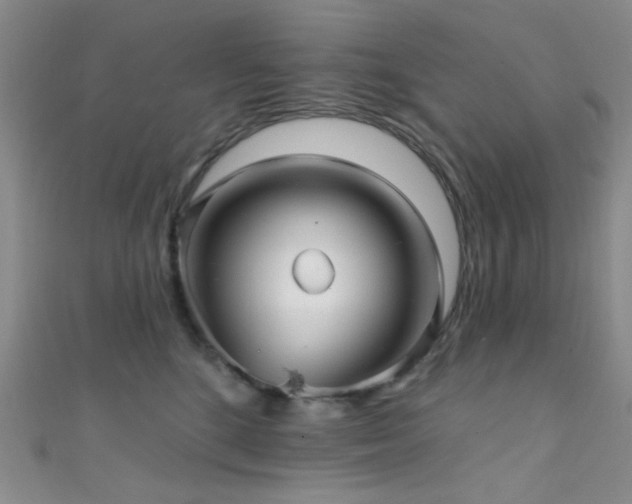 X0000111590520200907161456