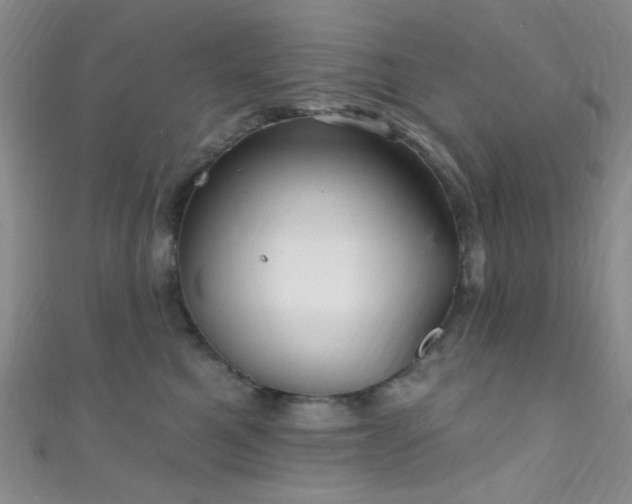 X0000111590521200907161456