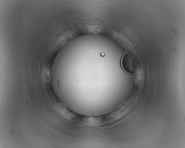 X0000111590522200907161456