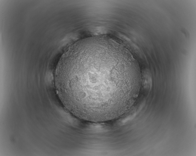 X0000111590523200907161456