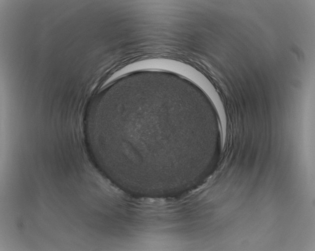 X0000111590524200907161456