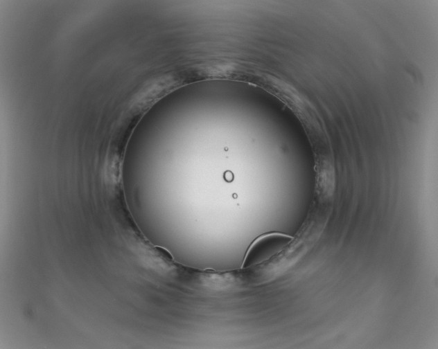 X0000111590525200907161456