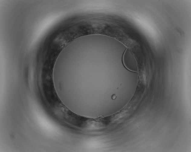 X0000111590526200907161456