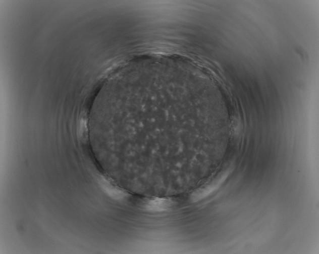 X0000111590527200907161456