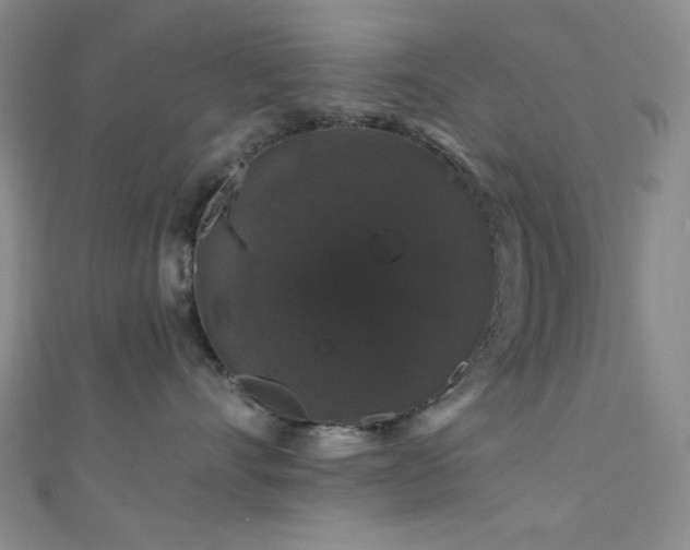 X0000111590528200907161456