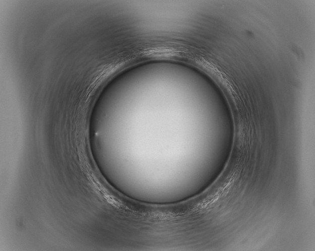 X0000111590529200907161455