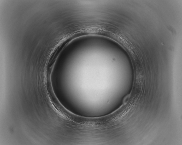 X0000111590530200907161455