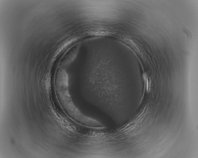 X0000111590531200907161455