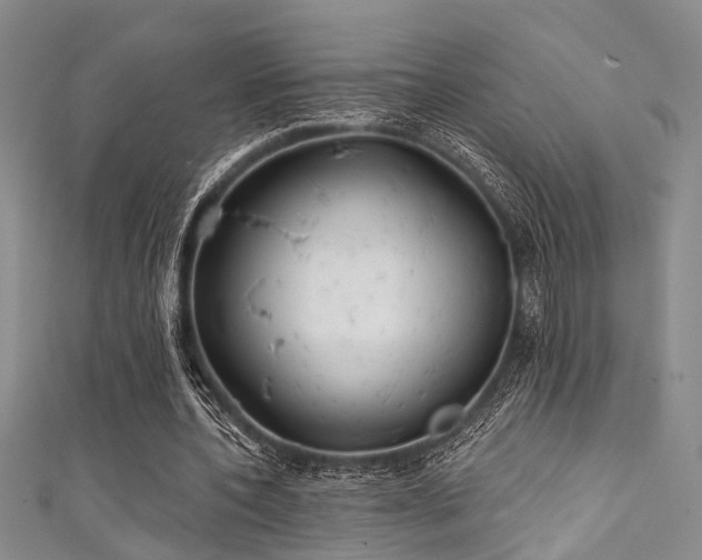 X0000111590532200907161455