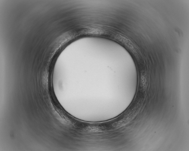 X0000111590534200907161455