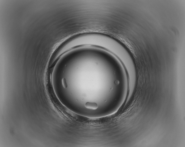 X0000111590536200907161455