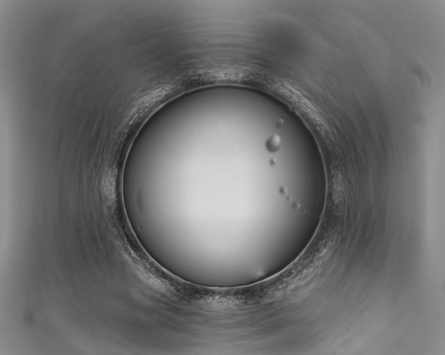 X0000111590537200907161455