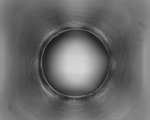 X0000111590538200907161455