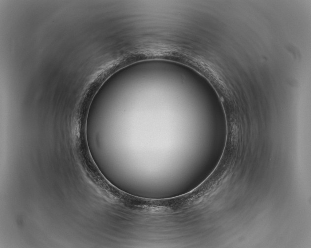 X0000111590539200907161455