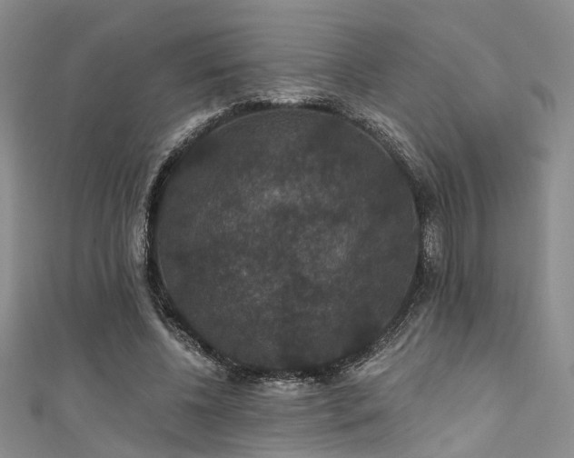 X0000111590540200907161456