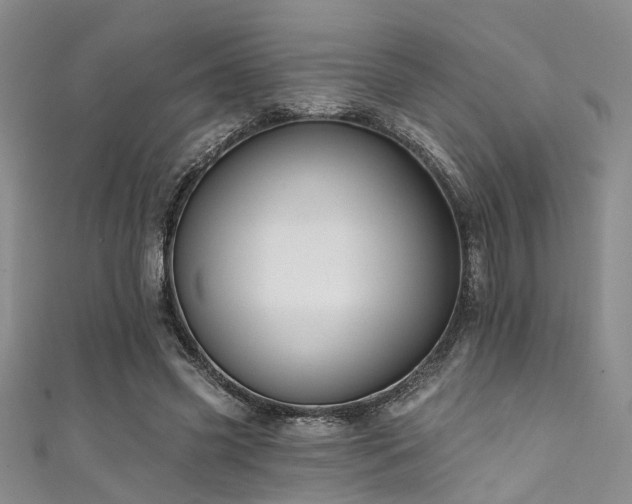 X0000111590541200907161456