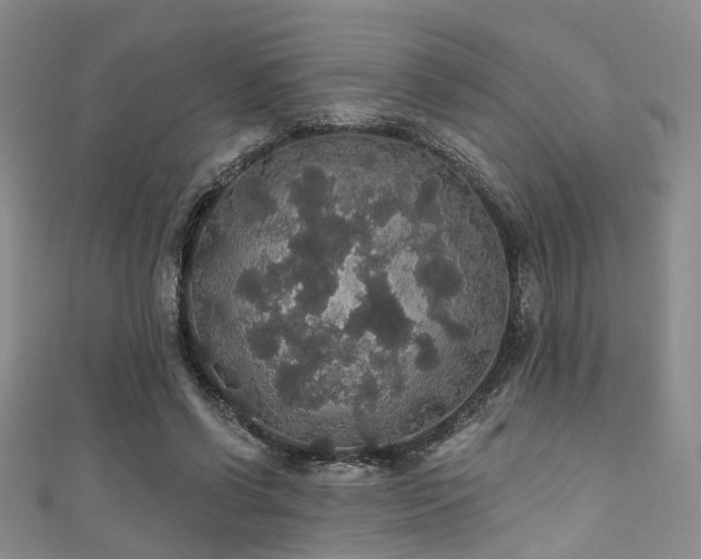 X0000111590542200907161456