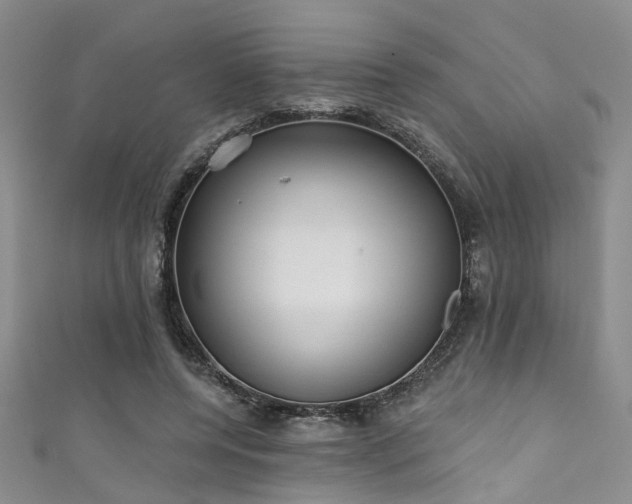 X0000111590544200907161456