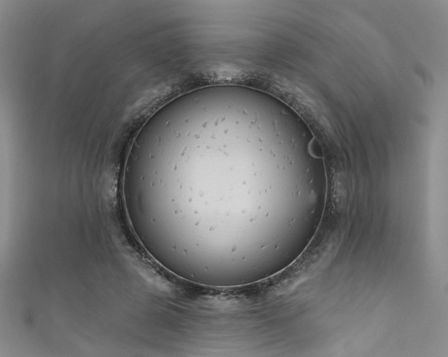 X0000111590545200907161456