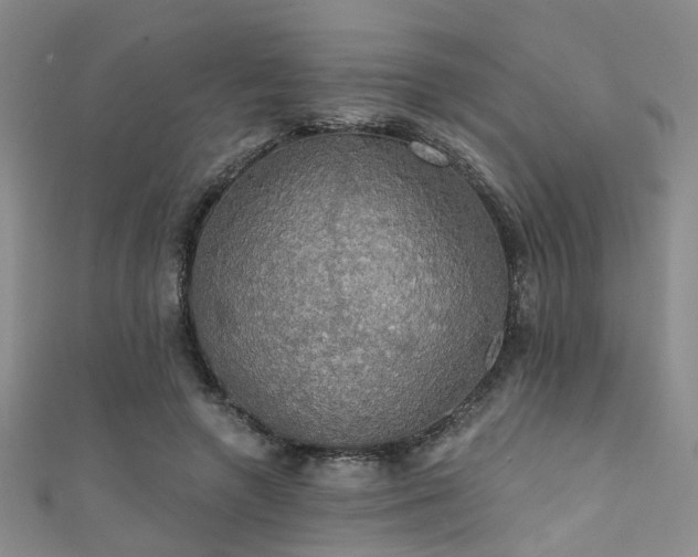 X0000111590546200907161456