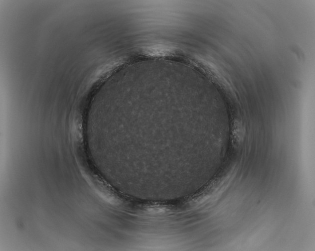 X0000111590547200907161456