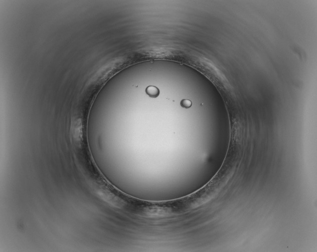 X0000111590549200907161456