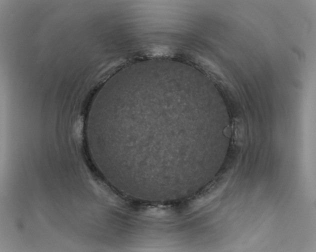 X0000111590550200907161456