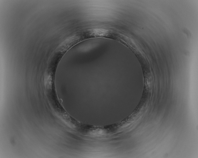 X0000111590551200907161456