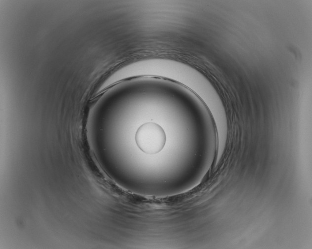 X0000111590552200907161456