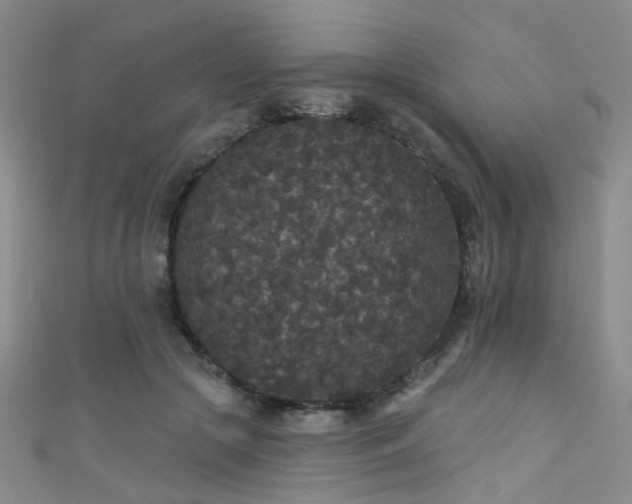 X0000111590553200907161456