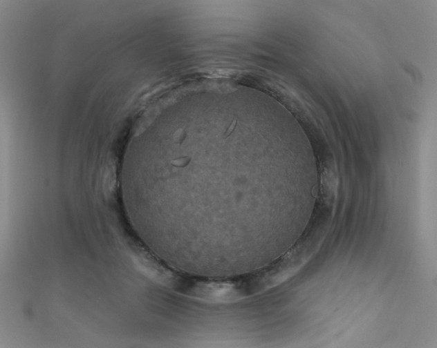 X0000111590554200907161456